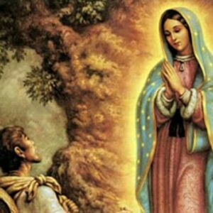 Apparizioni della Madonna di Guadalupe